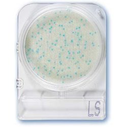 Compact Dry LM - Nachweis Listeria monocytogenes