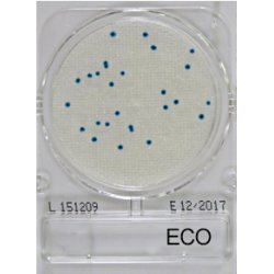Compact Dry ECO - Nachweis E.coli