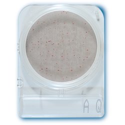 Compact Dry AQ - heterotrophe Bakterien